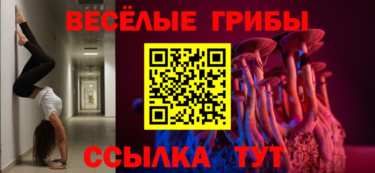 Псилоцибиновые грибы прущие грибы  Вход с VPN  Чебаркуль 